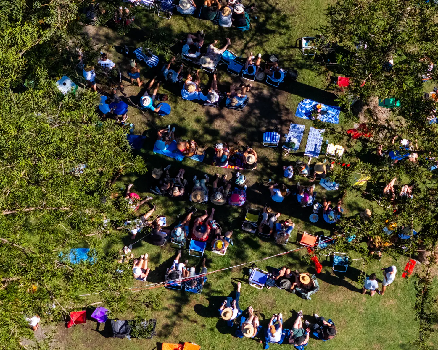 Sunshine Coast Festivals