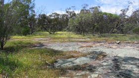 Christmas Rock Walk Trail