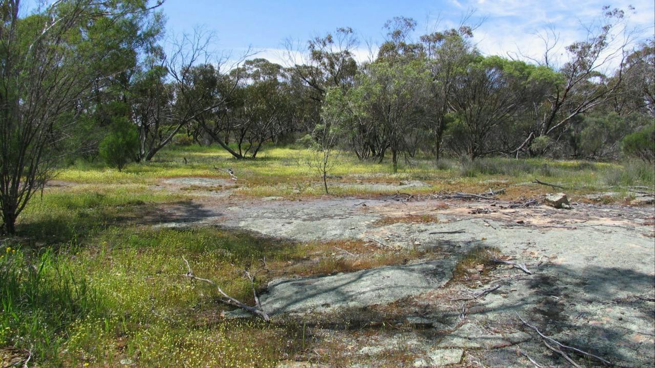 Christmas Rock Walk Trail