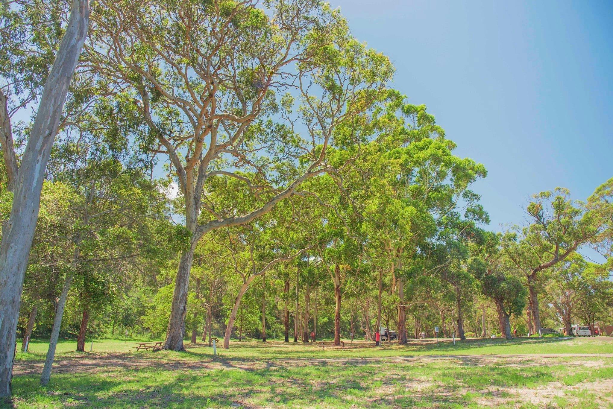 Powered sites unplugged sites