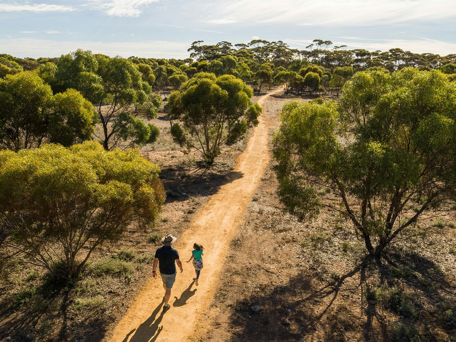 Man and child walking along dirt path through Monarto Safari Park mallee scrub