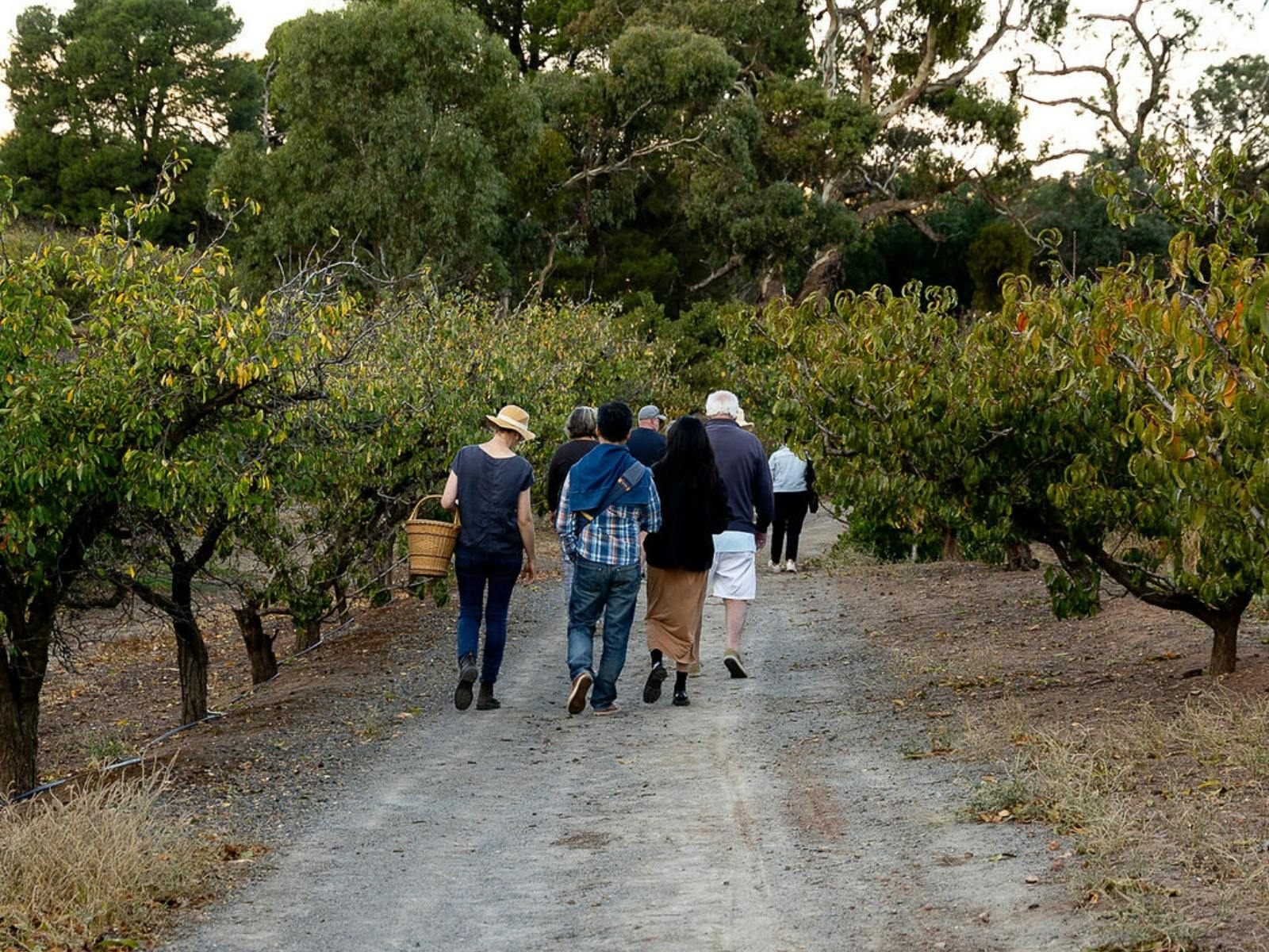 Gully Gardens Barossa - Orchard Tour and Taste