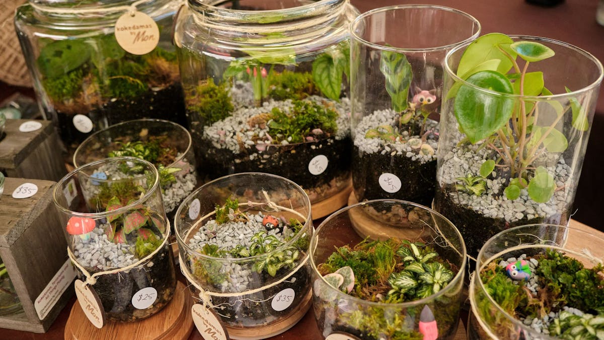 Fairy Gardens