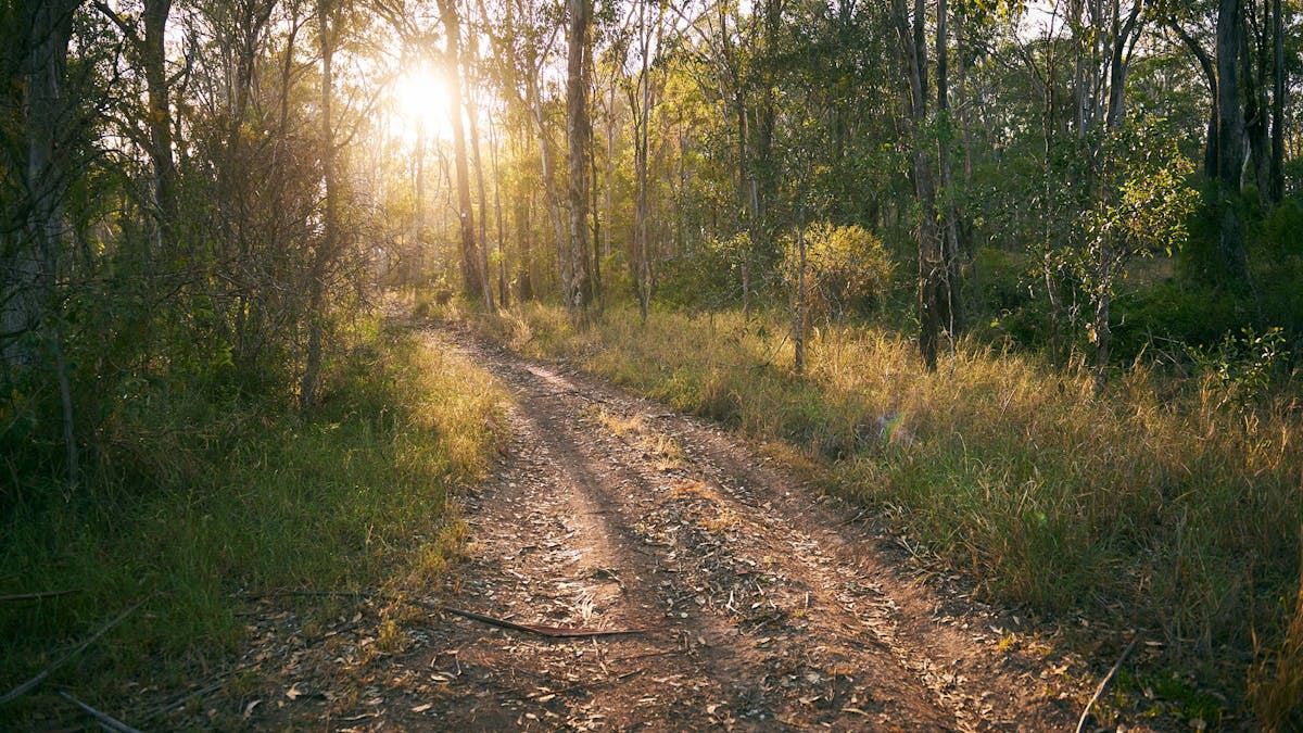 Raysource Road
