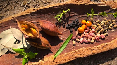 Bush tucker