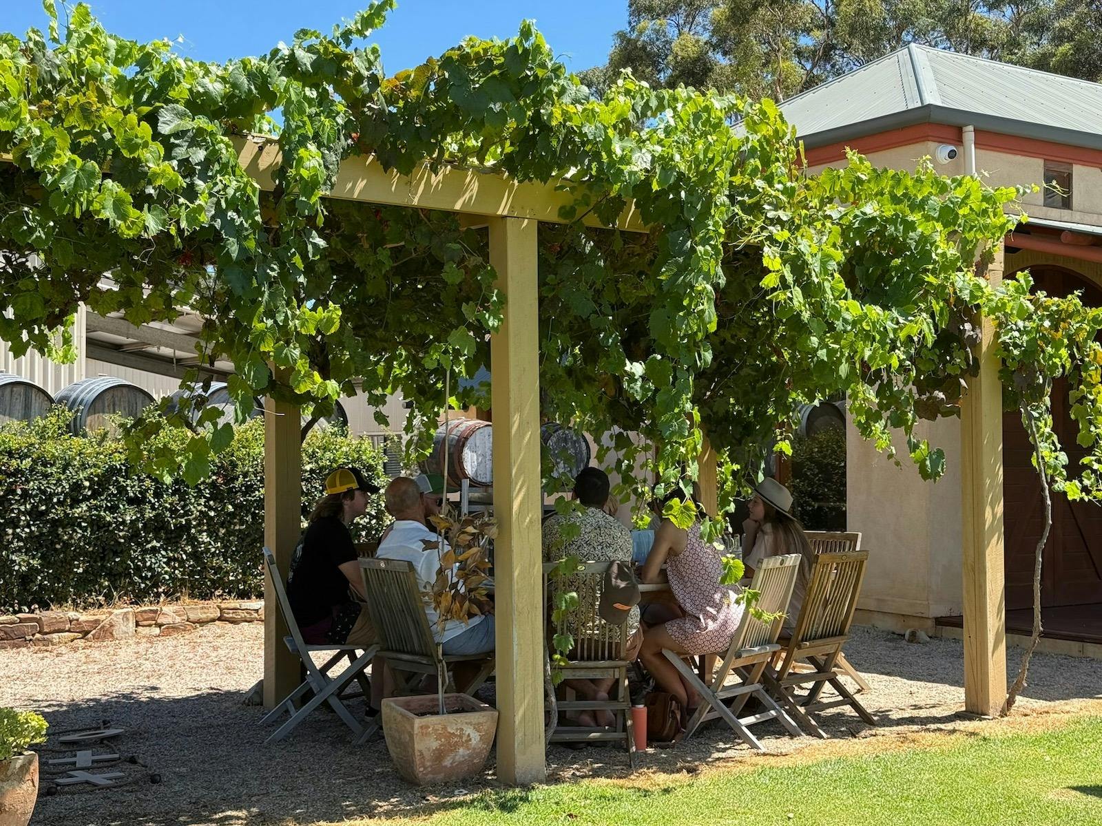 Wine tasting beneath the Arbor at Hugo Wines