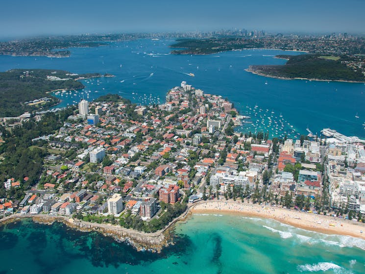 Aerial View of Manly - one of the Destinations My Fast Ferry goes to