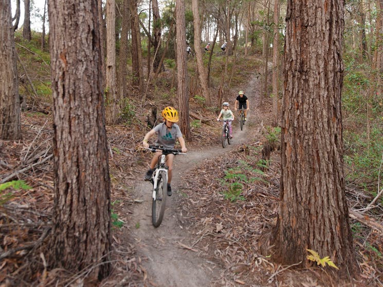 Family enjoying a day of riding on the 20km Bundadung Trail Network in Tathra.