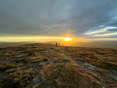 Whalebone 8 d4dbd6d23f041c7dd011ed1f01584d89