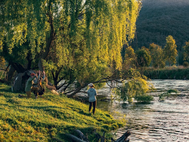 Fly fishing for trout on the the Tumut river in the Snowy Mountains