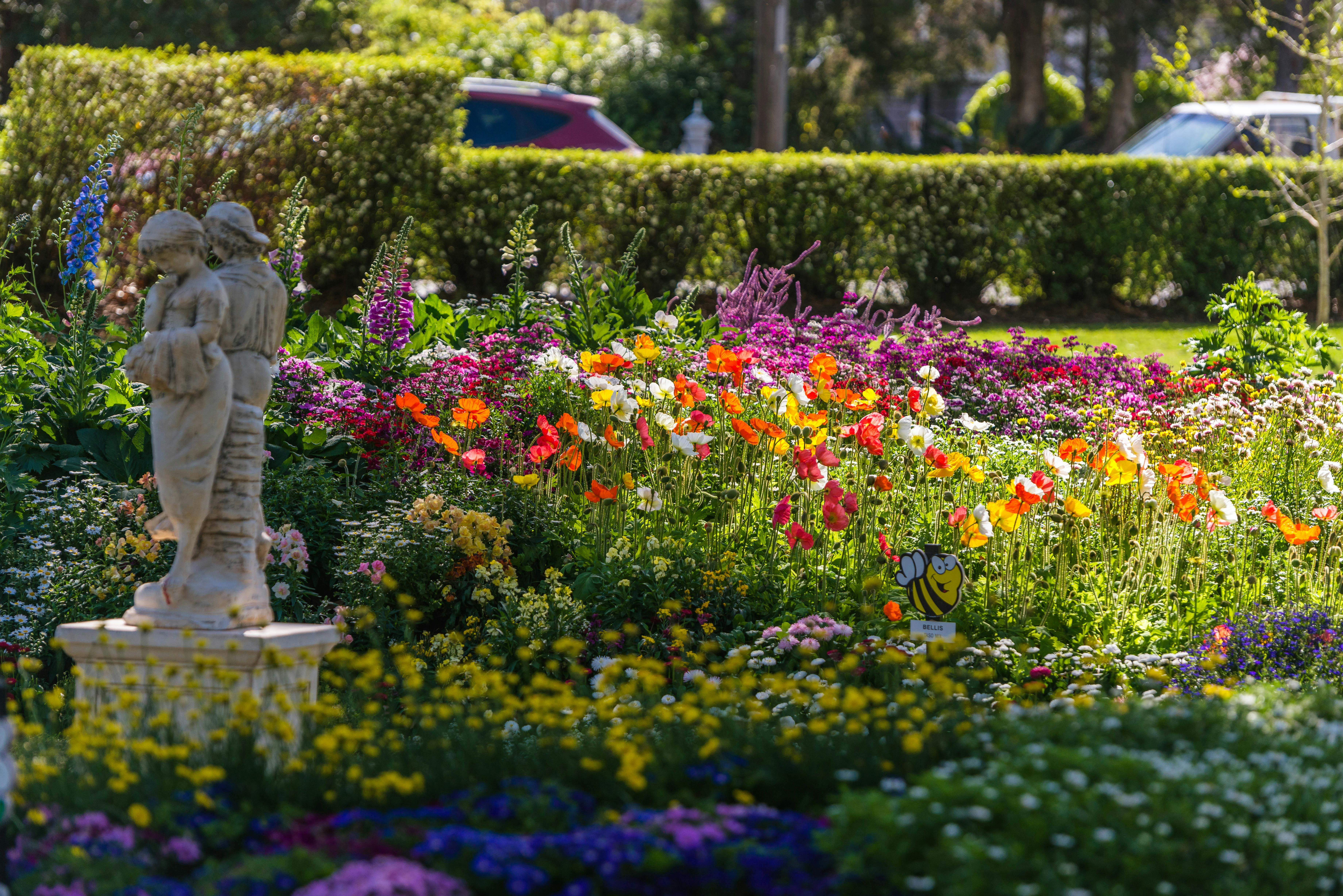 Spring flowers