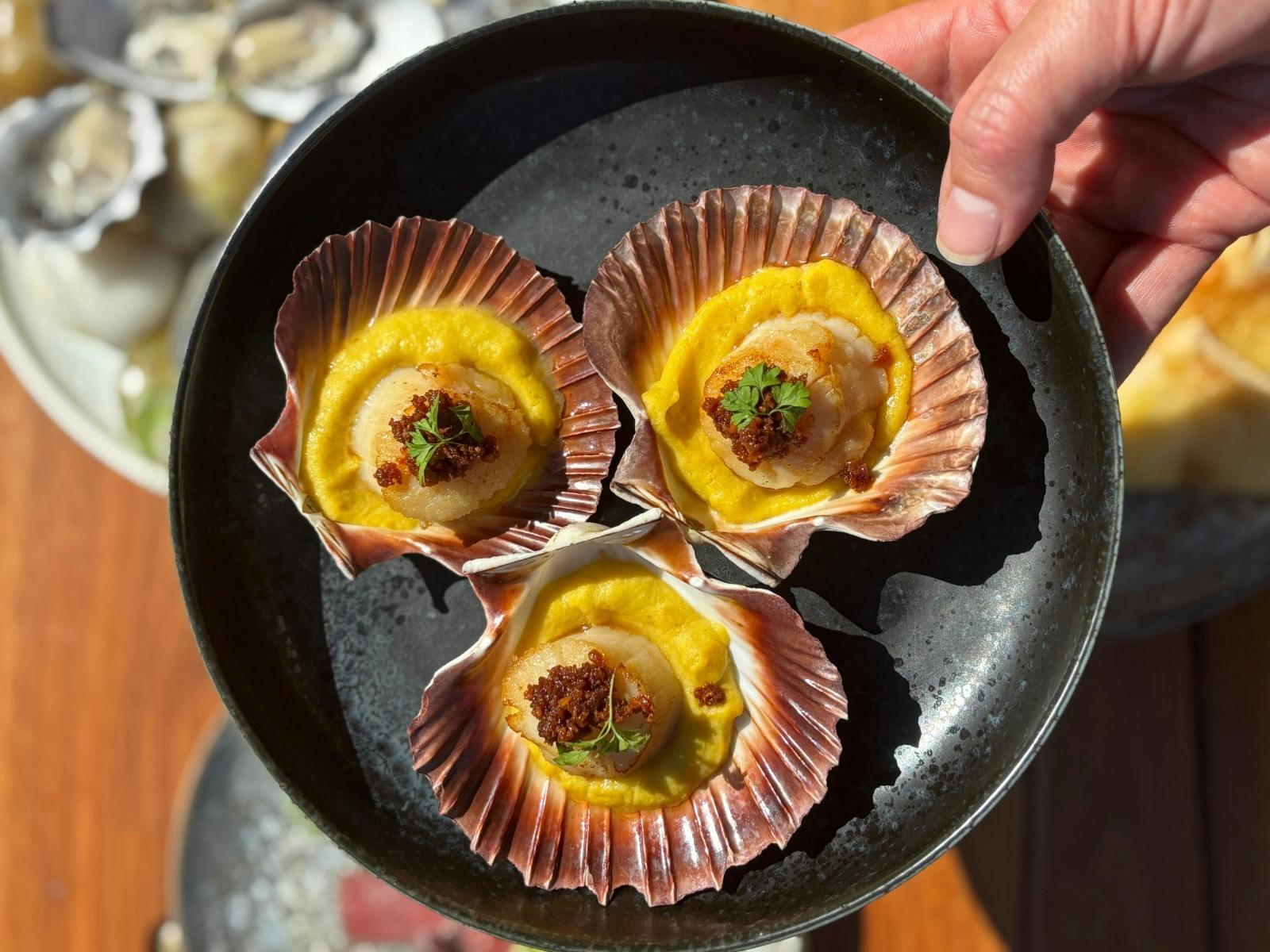 Scallops Yves Social