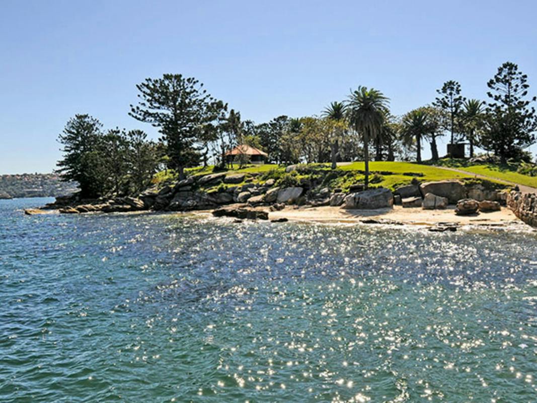 Shark Island