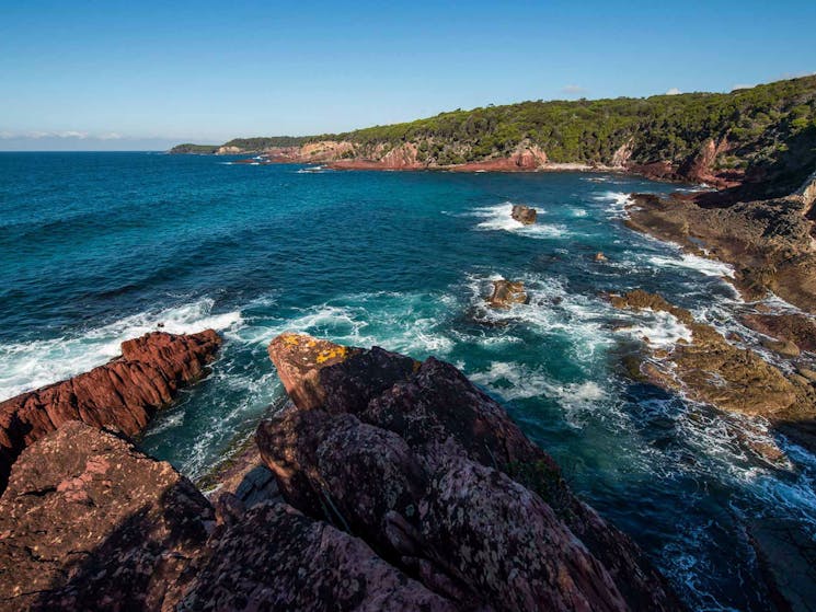 Boyds Tower to Saltwater Creek walking track, Ben Boyd National Park. Photo: John Spencer