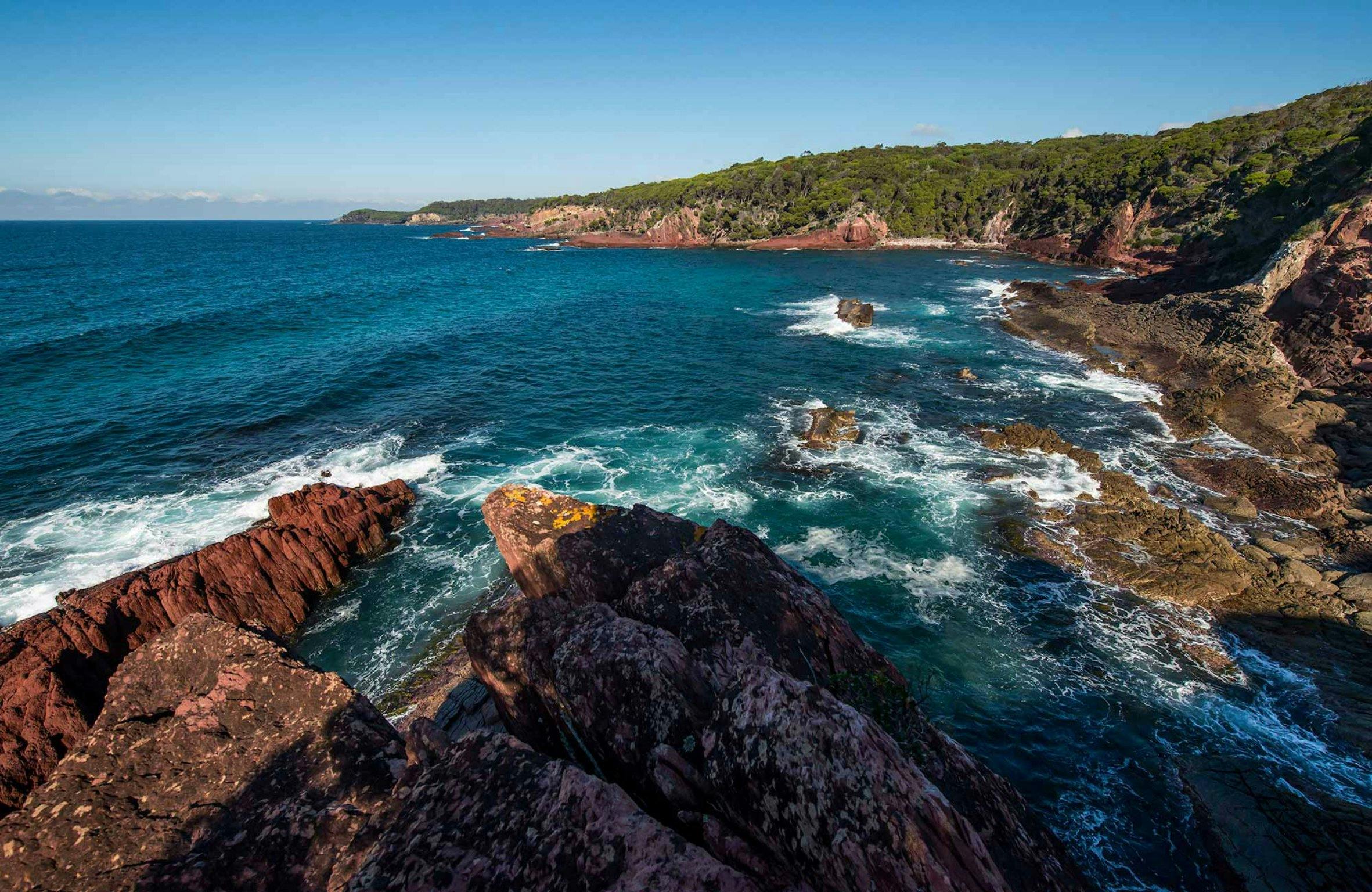 boyds-tower-to-saltwater-creek-walking-track-nsw-holidays