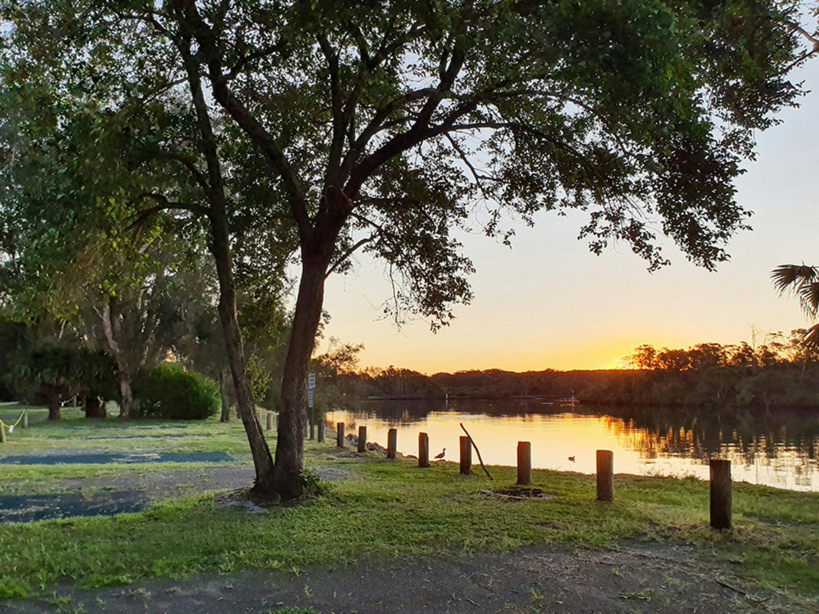 Myall River Camp riverside campsite
