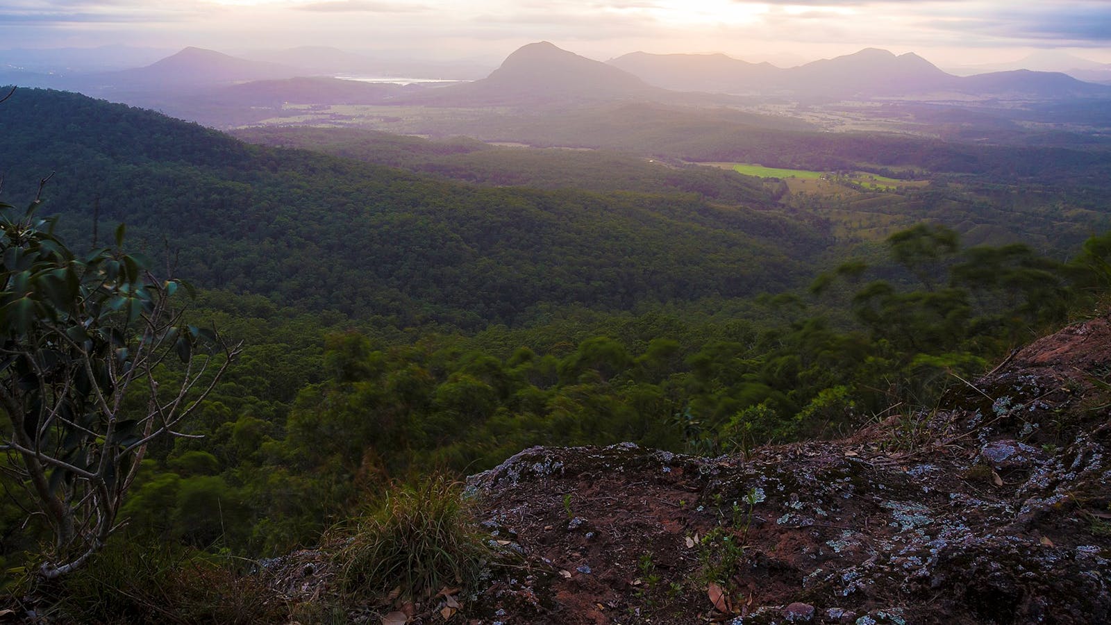 Governors Chair lookout track, Main Range National Park