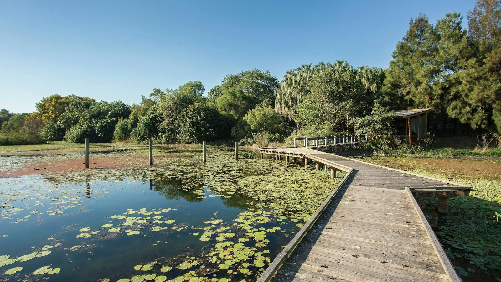 Mackay Regional Botanic Garden