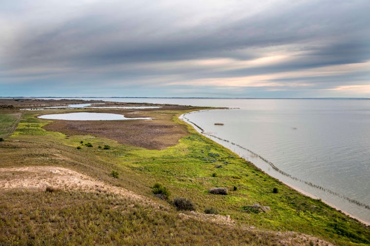 Secrets Of The Coorong