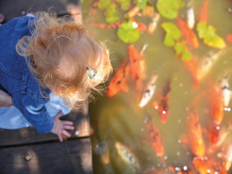 Dubbo Regional Botanic Garden