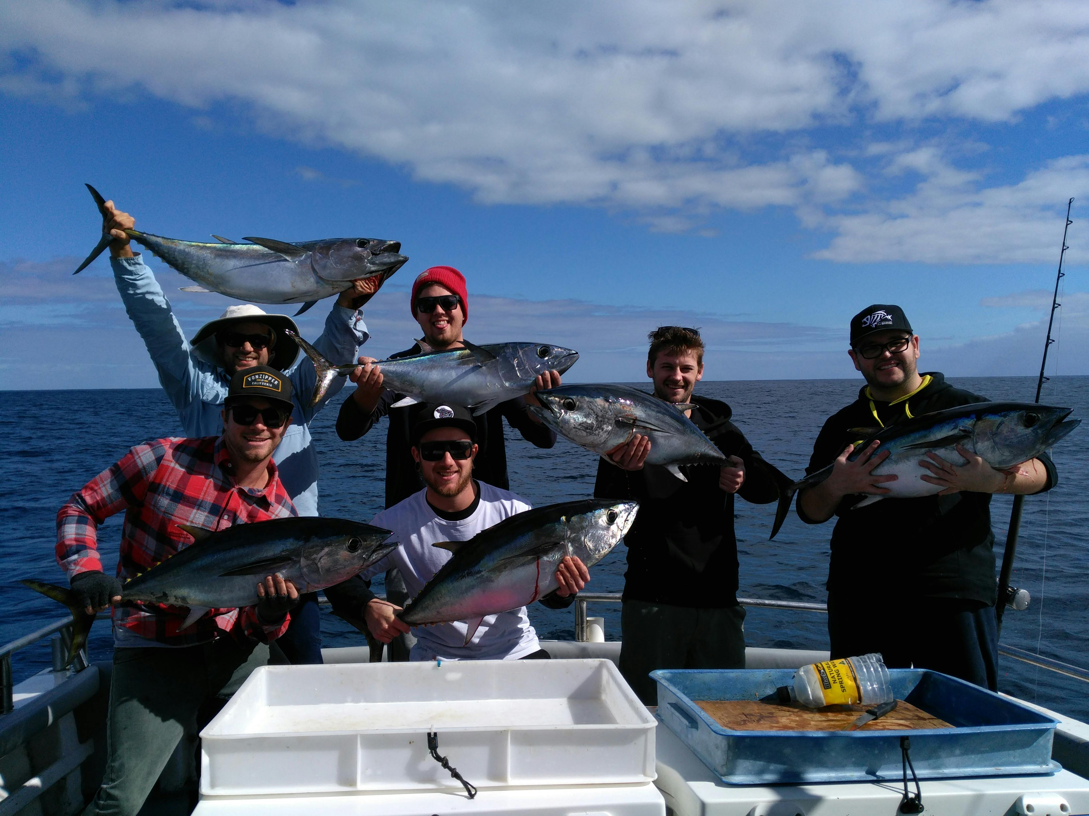 Tuna fishing adventures bottom end Marion bay