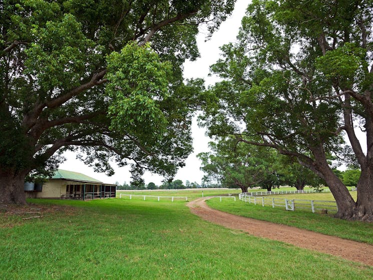 Copmanhurst recreation reserve