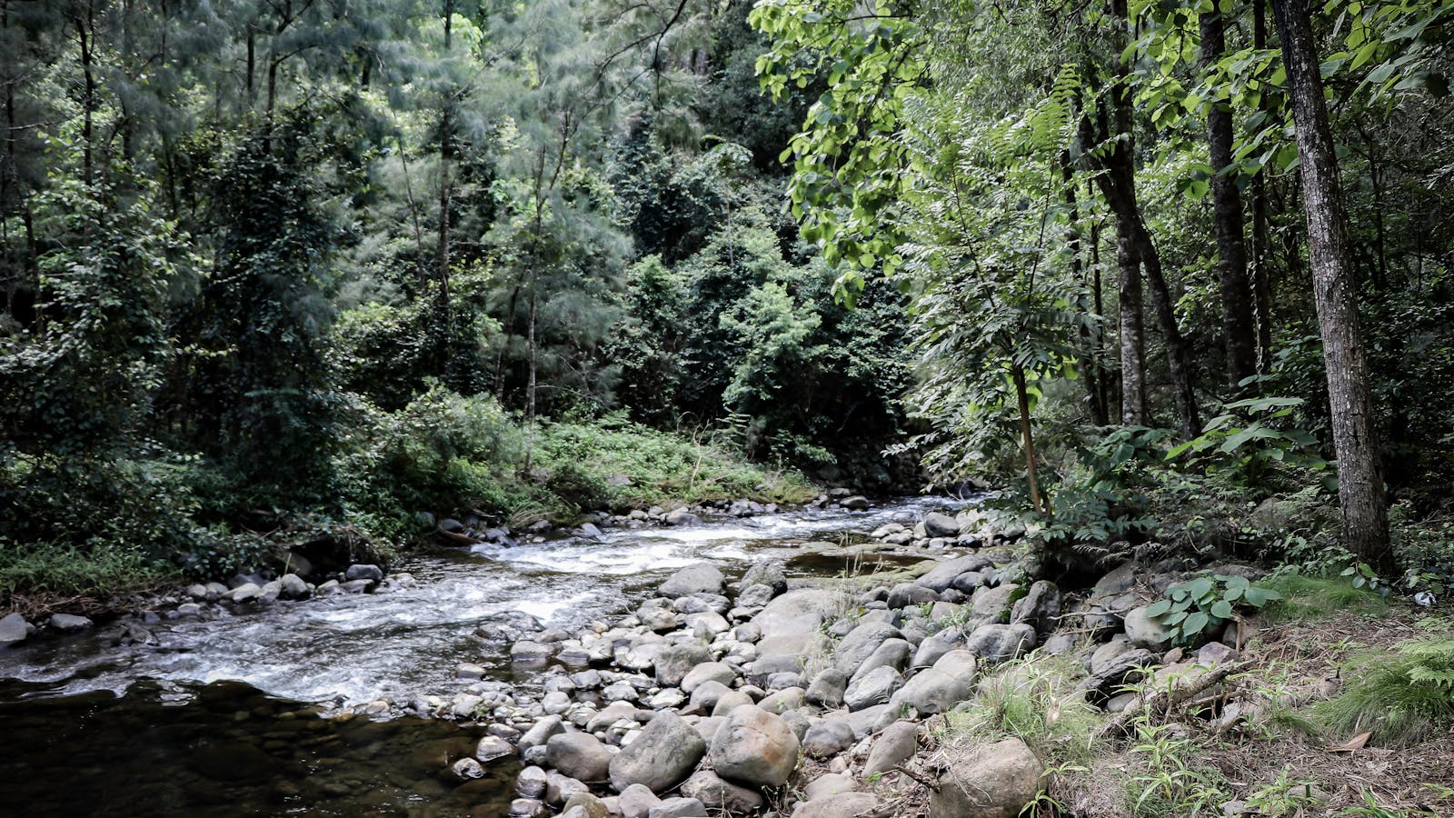 White Rock, Chichester State Forest (Allyn River)