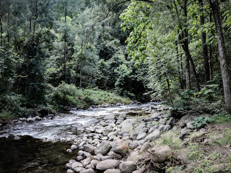 The Allyn River at White Rock, Chichester State Forest