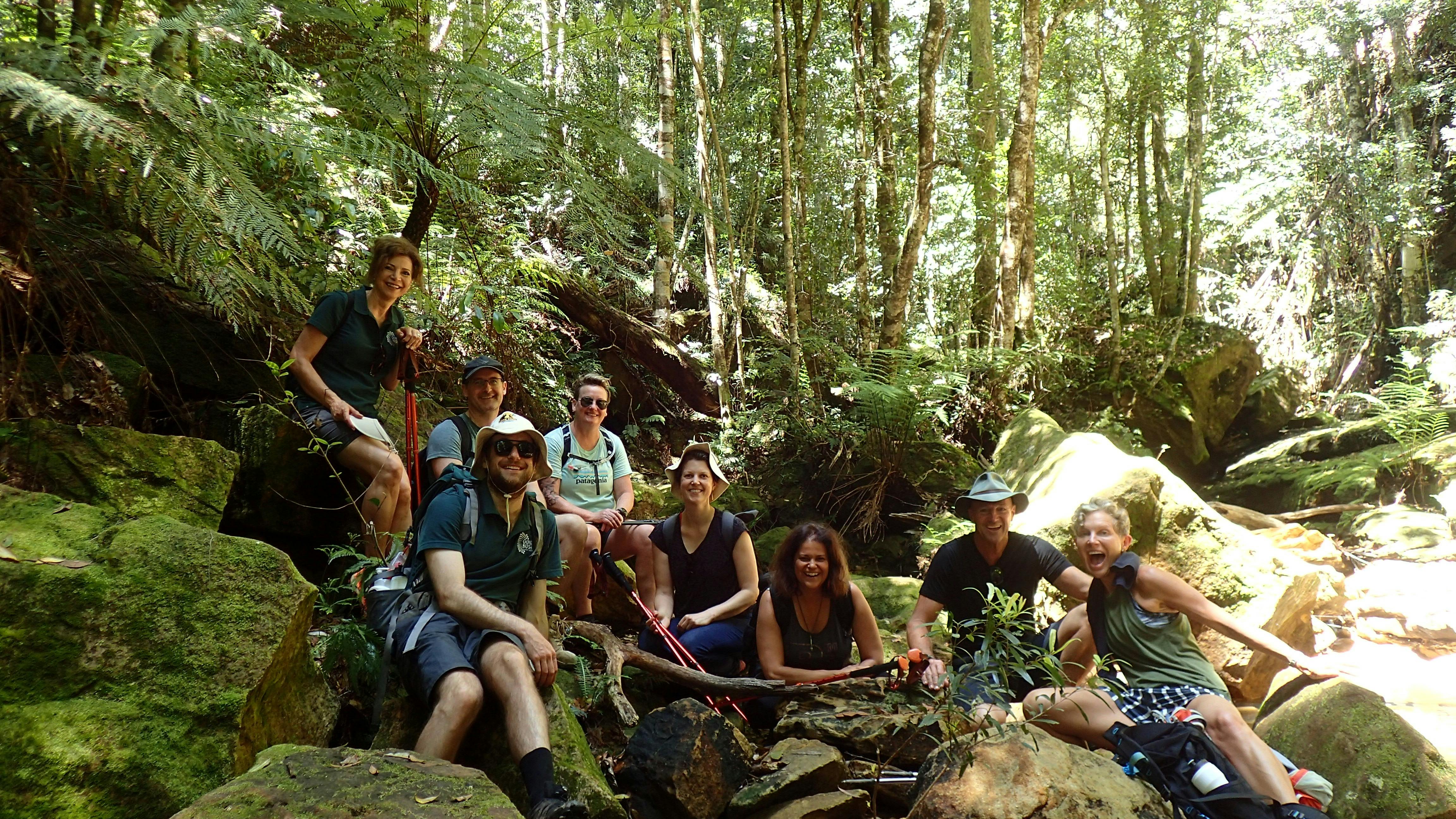 Deep in the forests of the Blue Mountains National Park