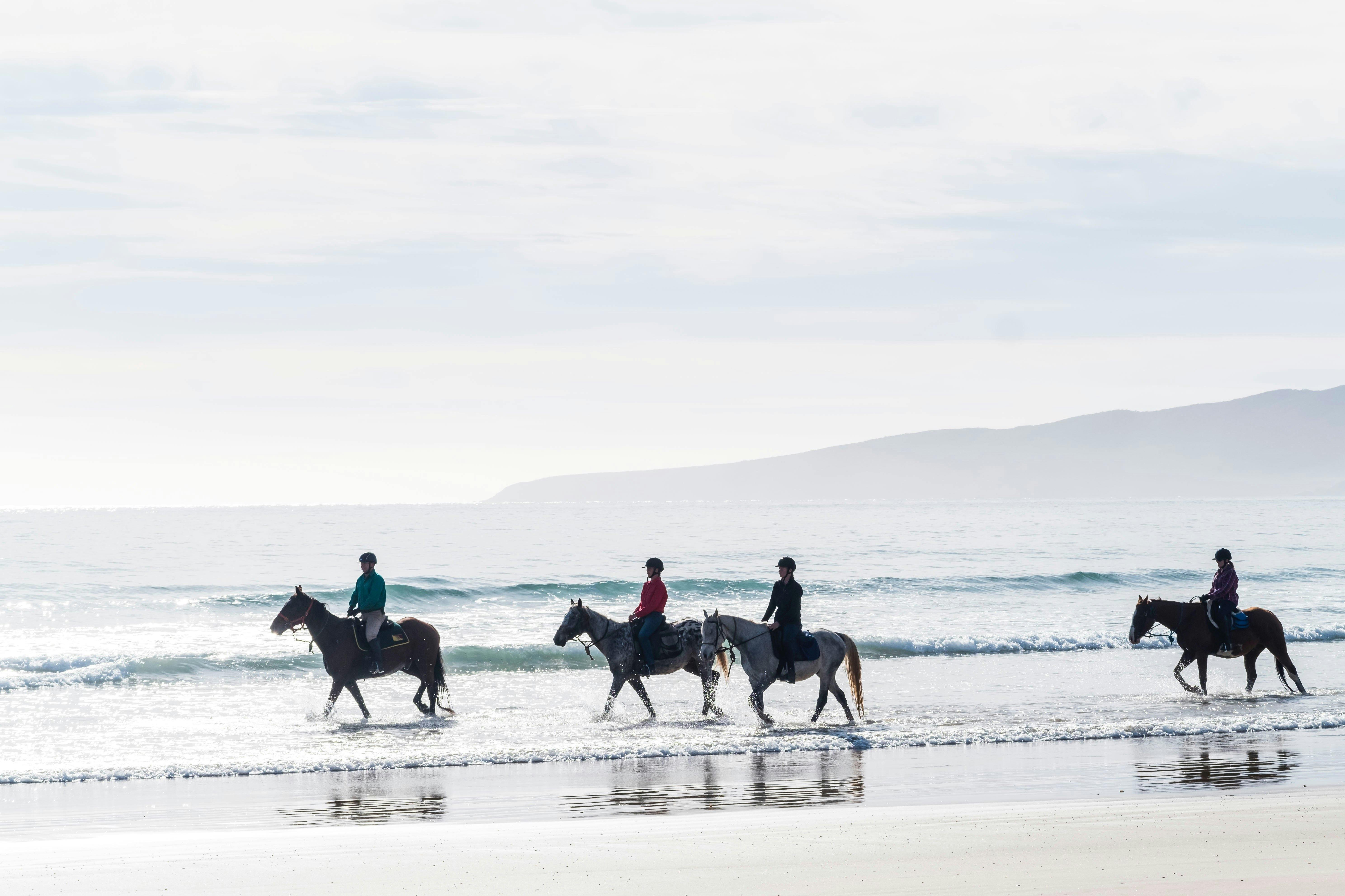 Come and join us on our 3 hour or full day Bakers Beach Ride