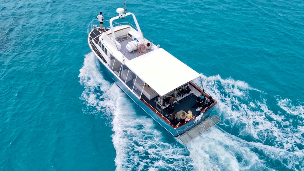 Pro Dive Magnetic Island