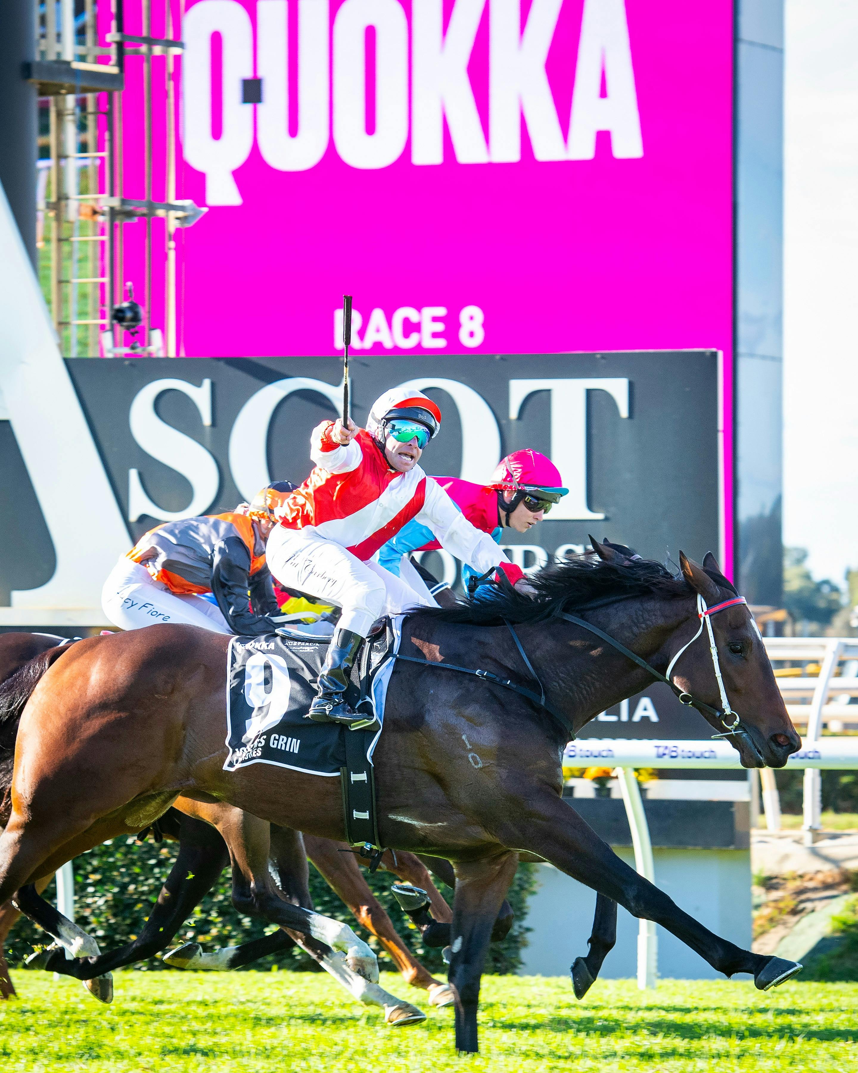 Ascot Racing - The BYD Quokka