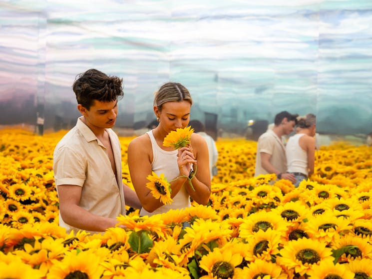 Smelling sunflowers in the sunflower room