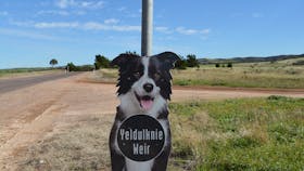 Yeldulknie Weir & Reservoir