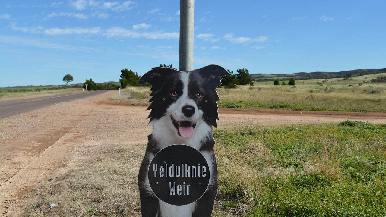 Yeldulknie Weir