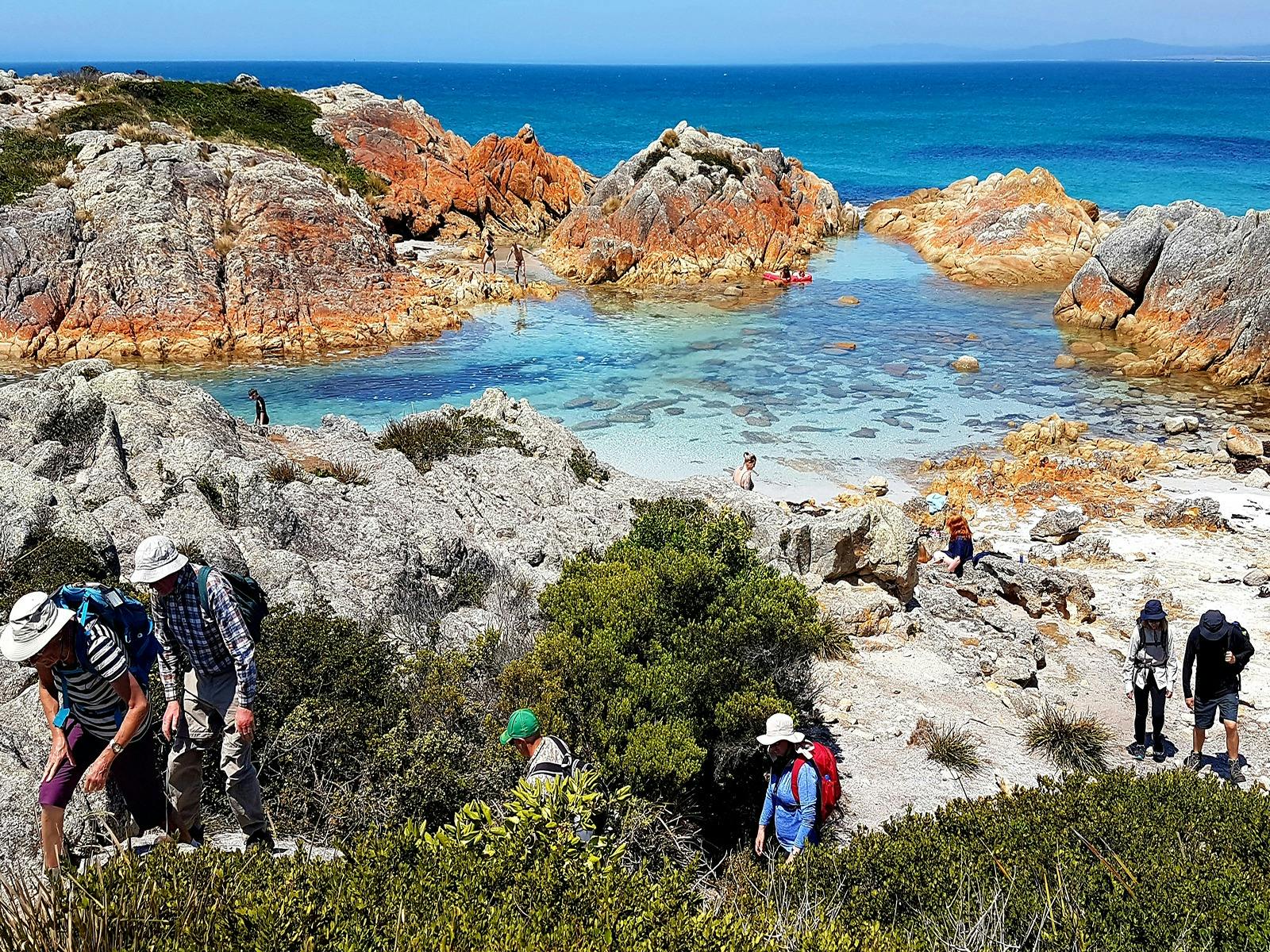 Walking tour special: discount for groups of 8+ image