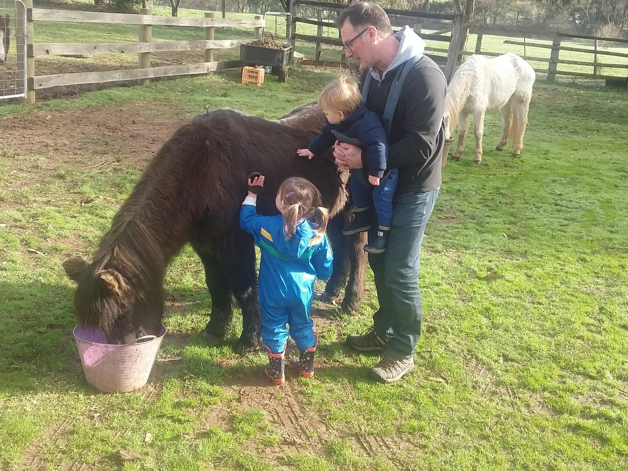 Emerald Park Holiday Farm