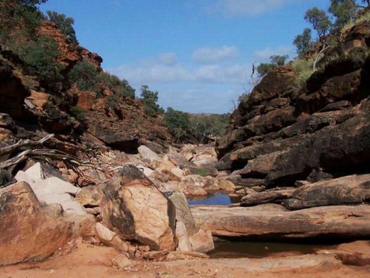 Homestead Gorge trail