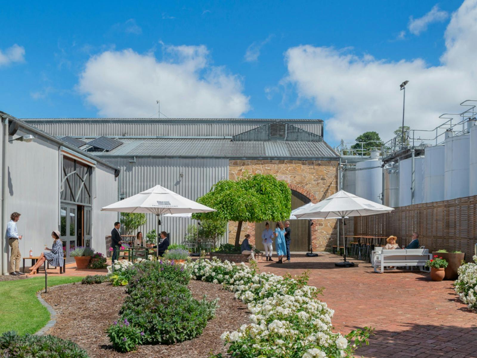 Shottesbrooke's big, spacious courtyard, featuring their Tree-Trail tagged Mulberry Tree