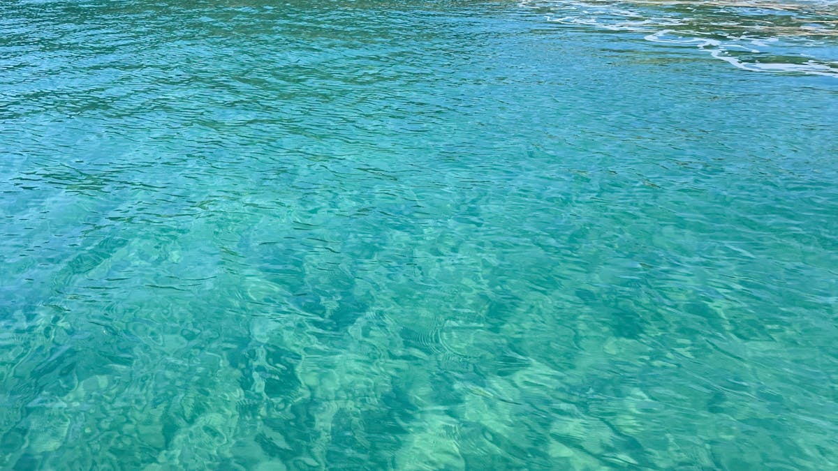 Visiting secluded bays on tour
