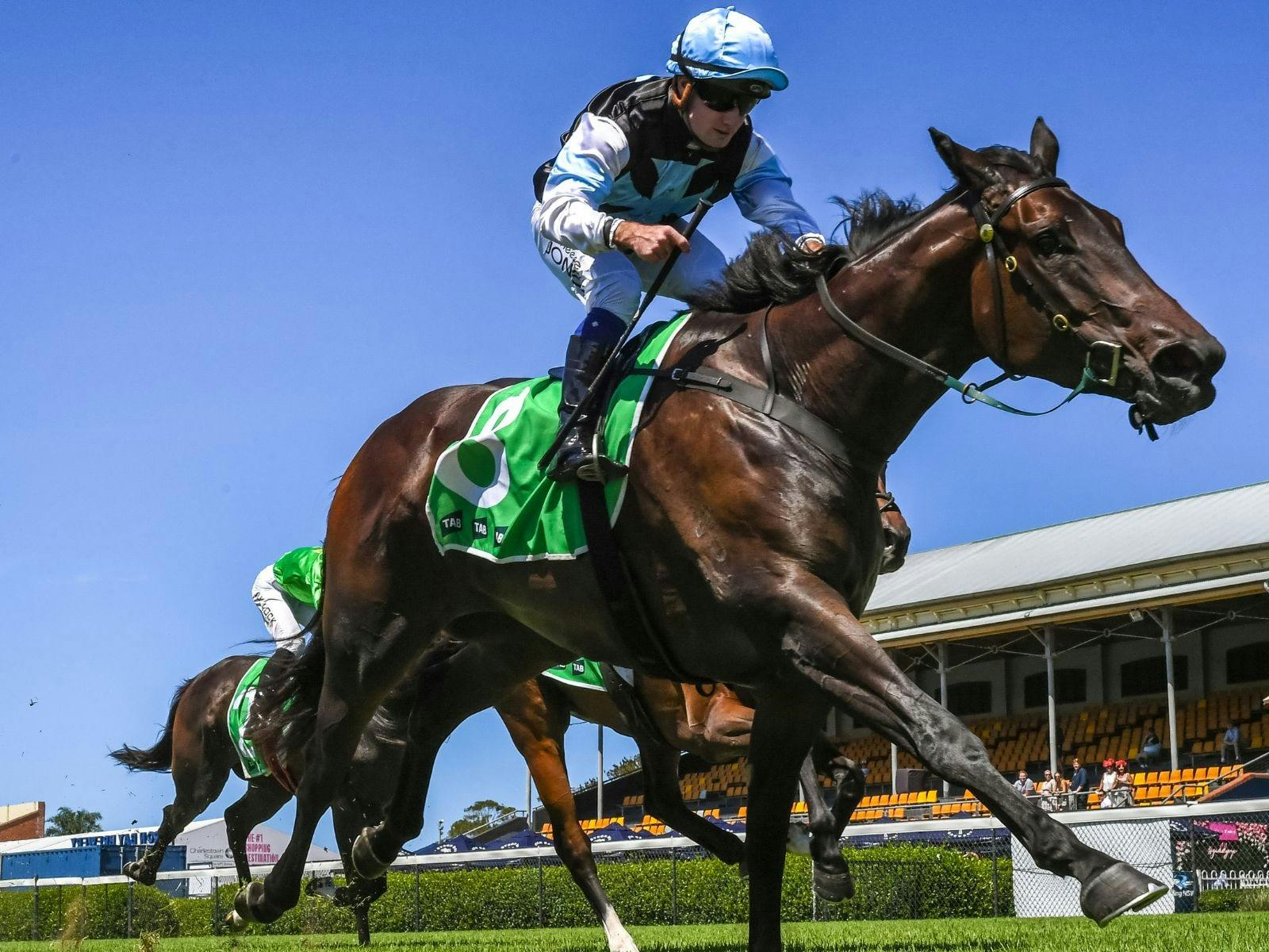 Hunter Melanoma Foundation Race Day supported by Farrelly Construction Services
