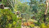 private bungalows set in botanic like gardens