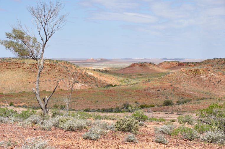 William Creek and Painted Desert Nine Day Tour
