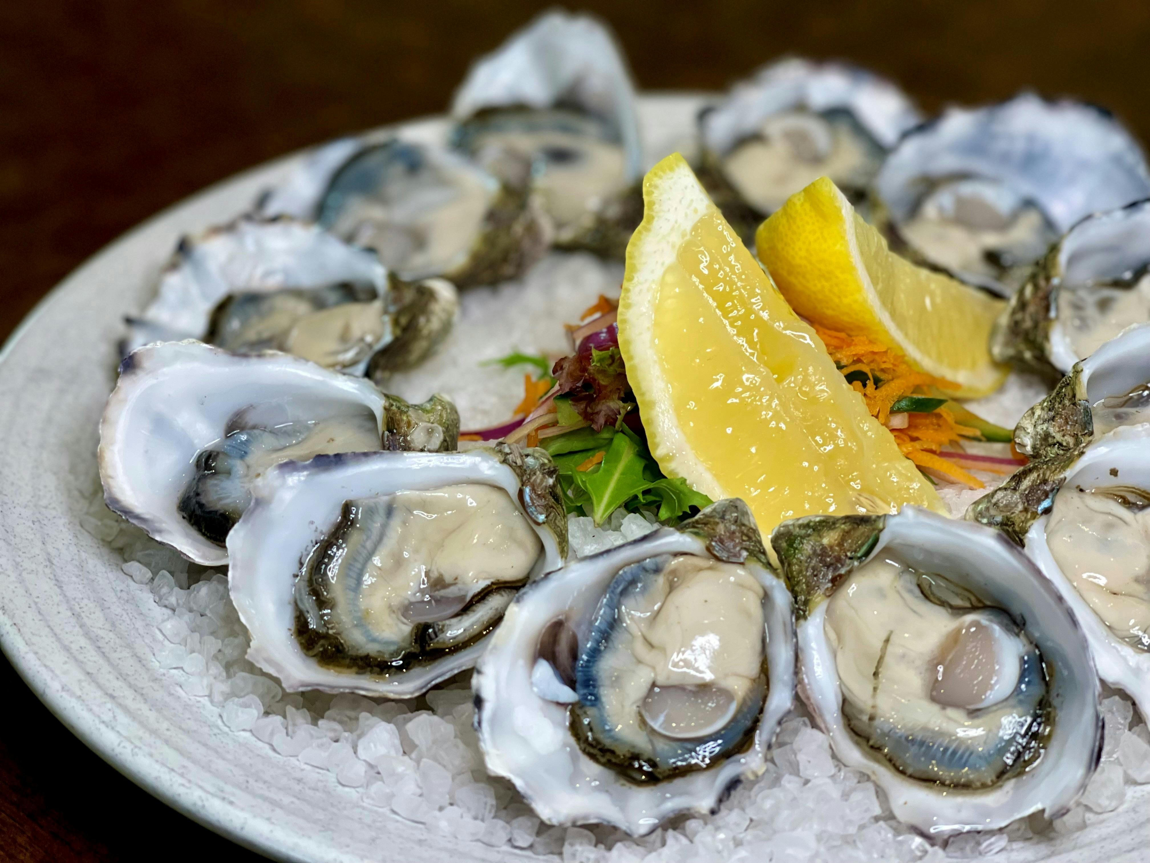 Oysters
