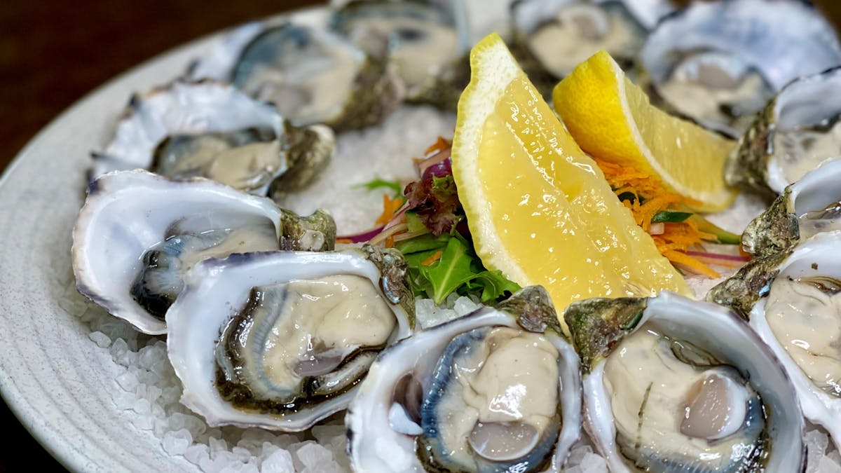 Oysters