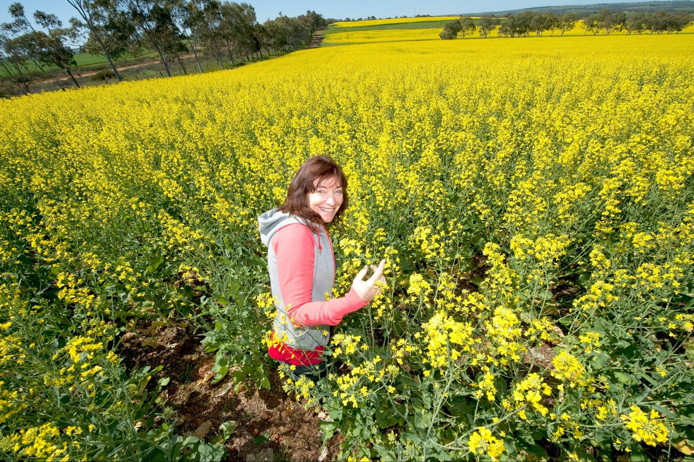 Badgingarra National Park, Badgingarra, Western Australia