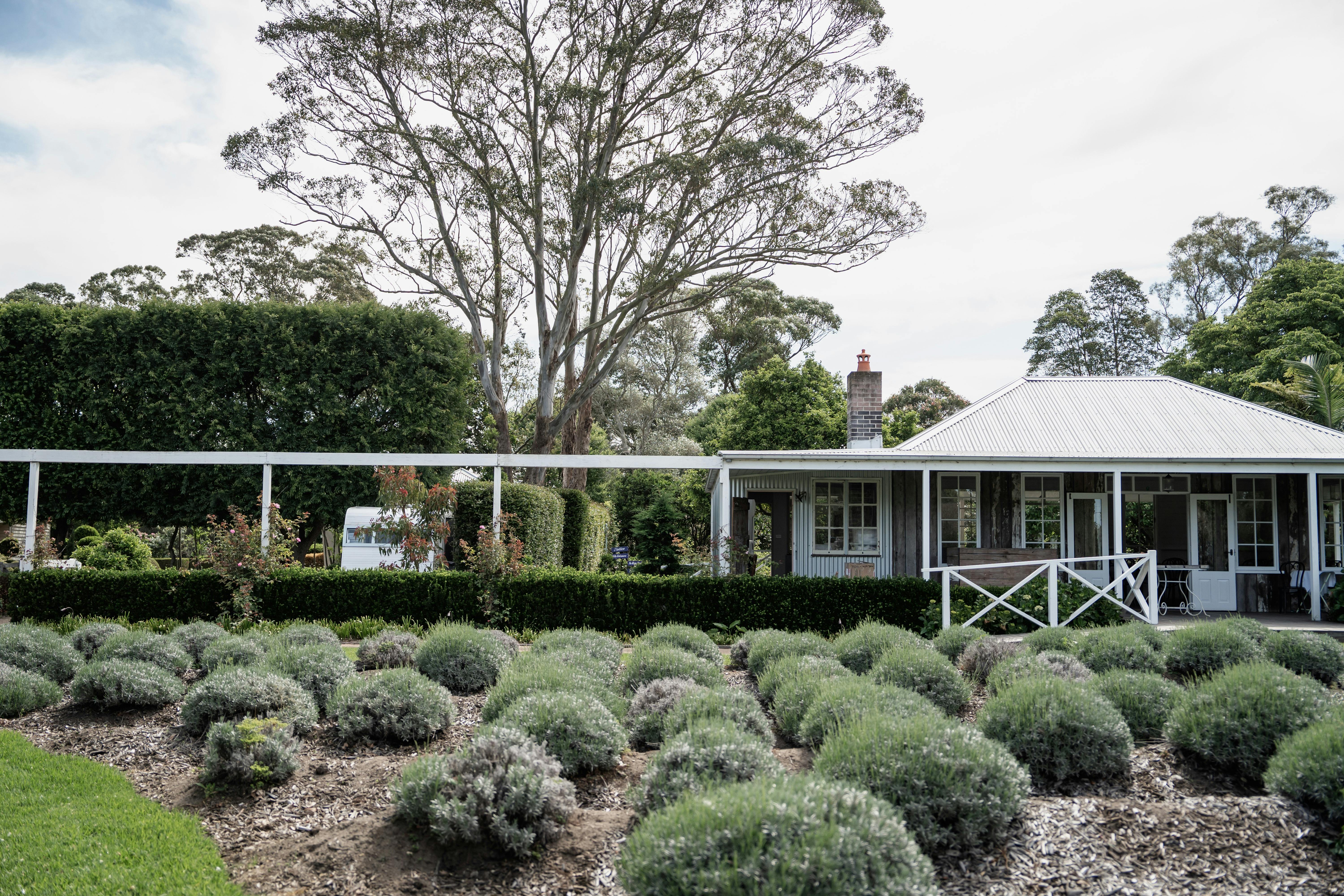 라벤더밭으로 둘러싸인 작은 공용 공간은 아침에 앉아서 휴식을 취할 수 있는 곳입니다.