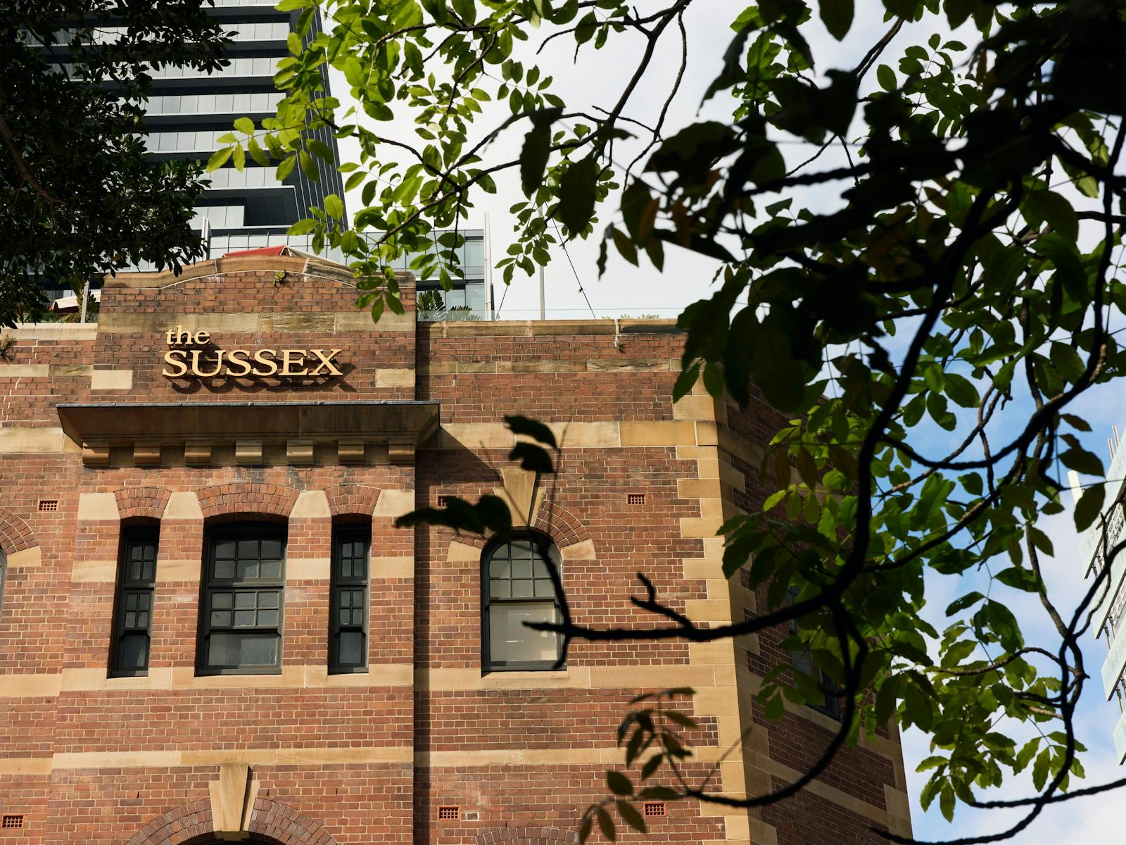 Exterior of The Sussex with brickwork and tree hanging overhead