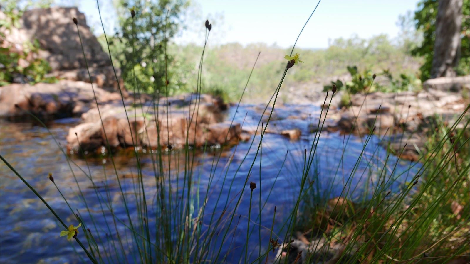Greenant Creek Walk / Tjaetaba Falls