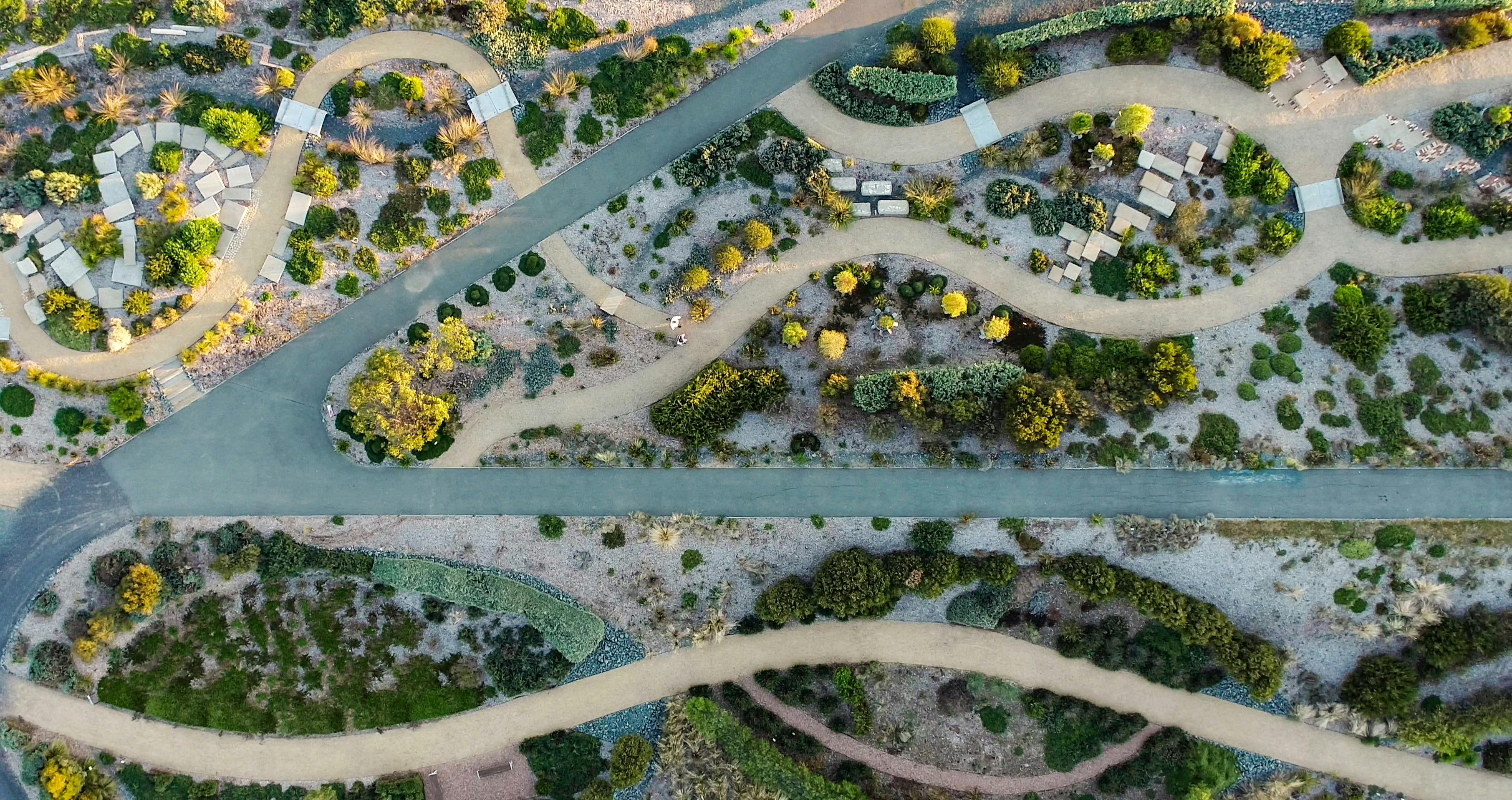 Aerial view of the paths meandering through the botanic gardens